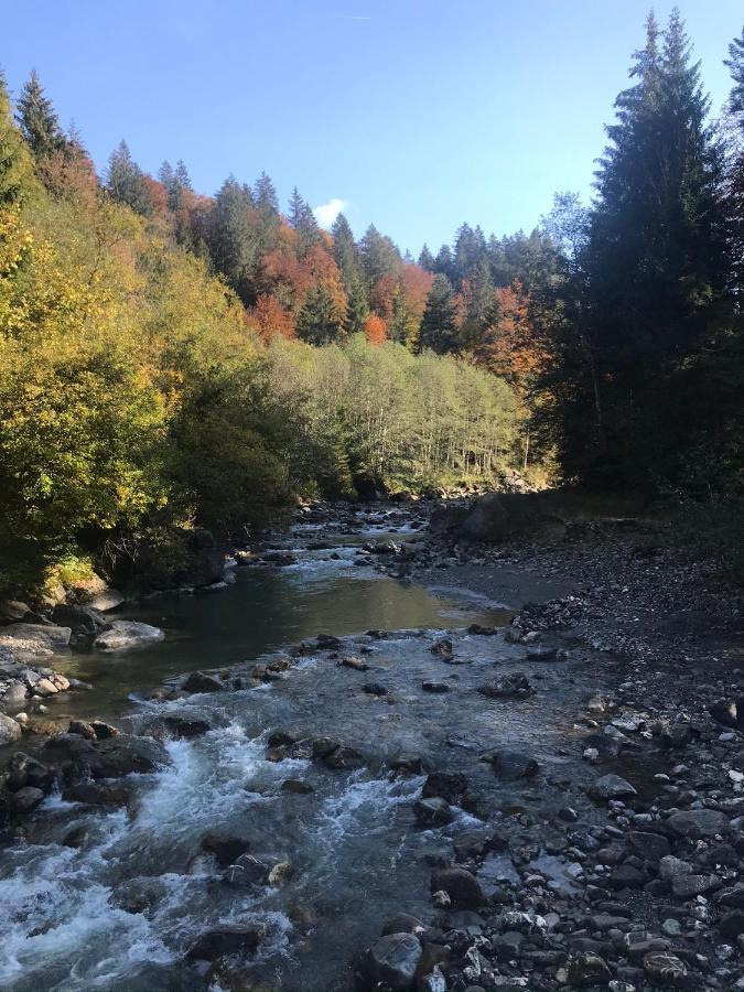 Ferienwohnung Morgentau Am Rande Der Wildnis Sibratsgfäll Екстериор снимка