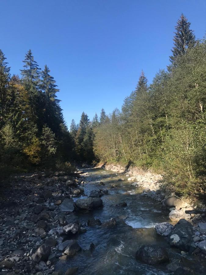 Ferienwohnung Morgentau Am Rande Der Wildnis Sibratsgfäll Екстериор снимка